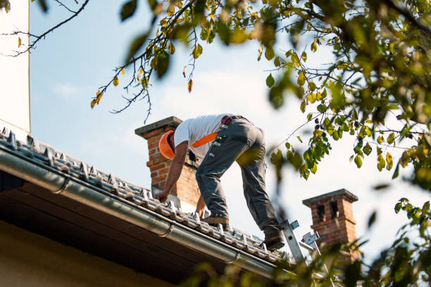 Best Sheet Metal Roofing  in New Port Richey East, FL