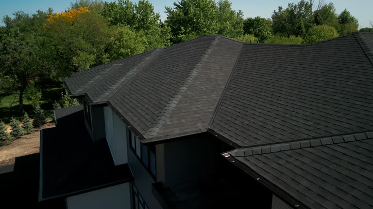 Best Asphalt Shingle Roofing  in New Port Richey East, FL