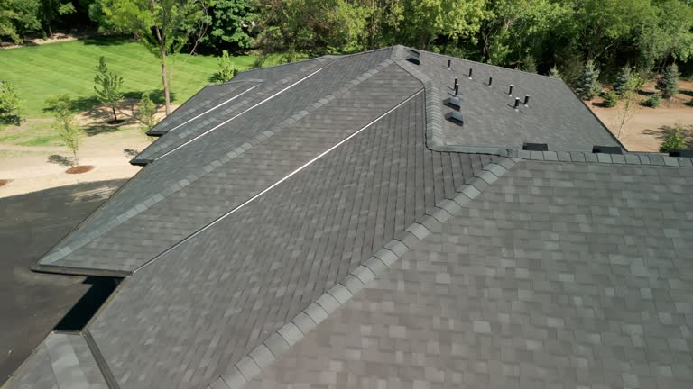 Skylights in New Port Richey East, FL