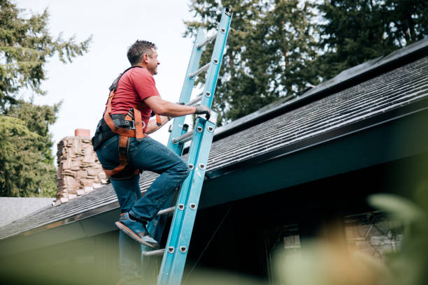 Best Solar Panel Roofing Installation  in New Port Richey East, FL