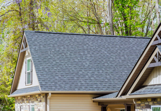 Best Hot Roofs  in New Port Richey East, FL