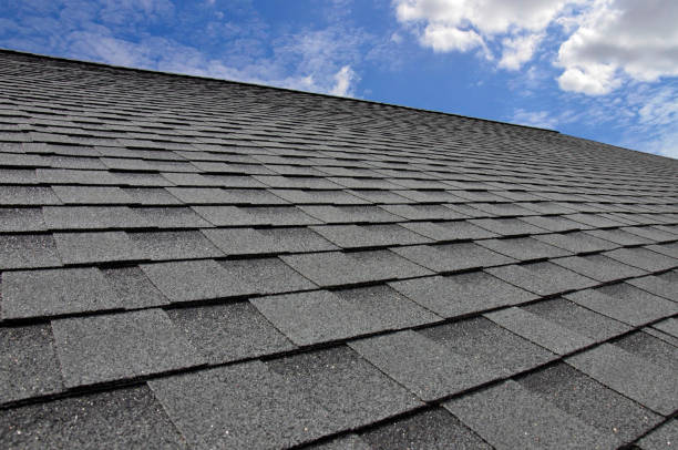 Best Green or Eco-Friendly Roofing Solutions  in New Port Richey East, FL