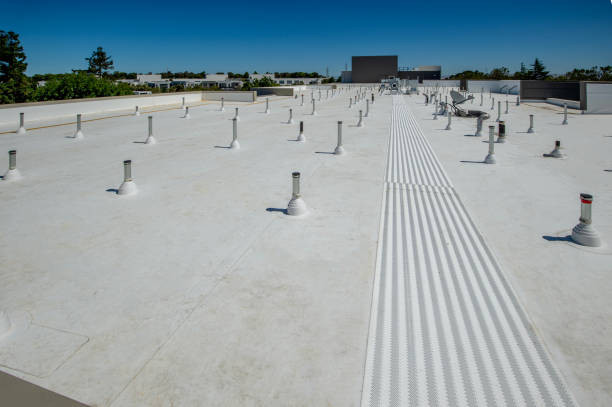 Best Steel Roofing  in New Port Richey East, FL